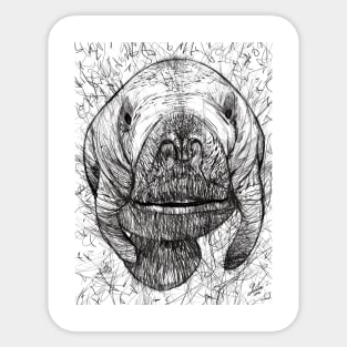 DUGONG pencil portrait .2 Sticker